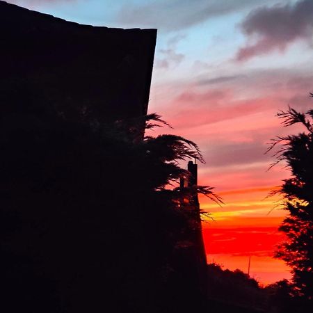 Casa Rural Quinta Los Naranjos Tigalate Bagian luar foto