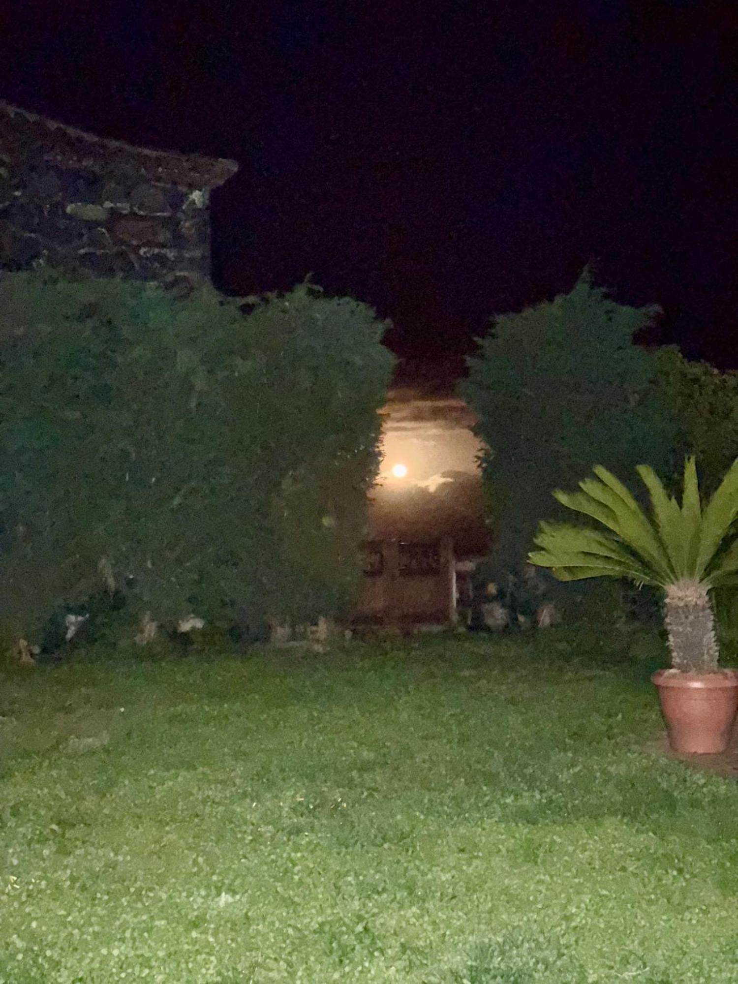 Casa Rural Quinta Los Naranjos Tigalate Bagian luar foto