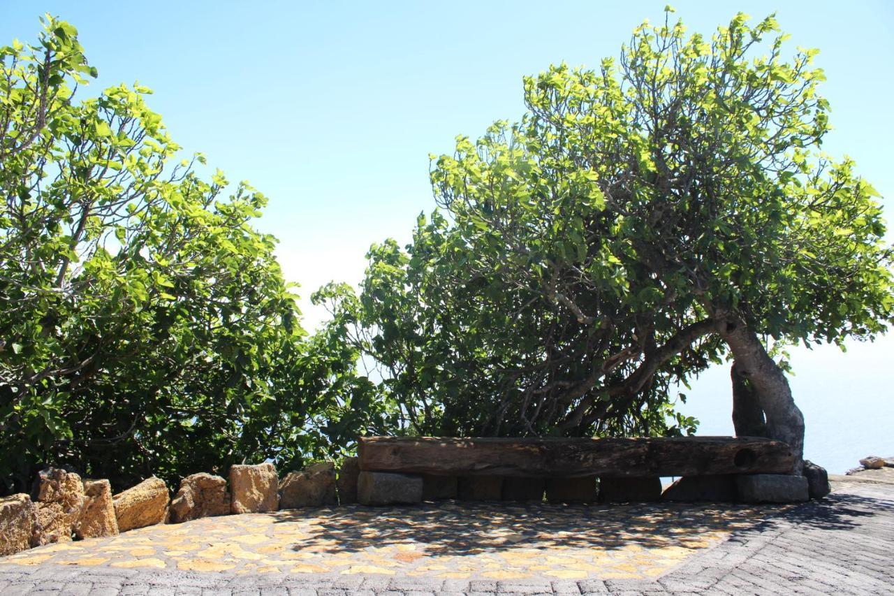 Casa Rural Quinta Los Naranjos Tigalate Bagian luar foto